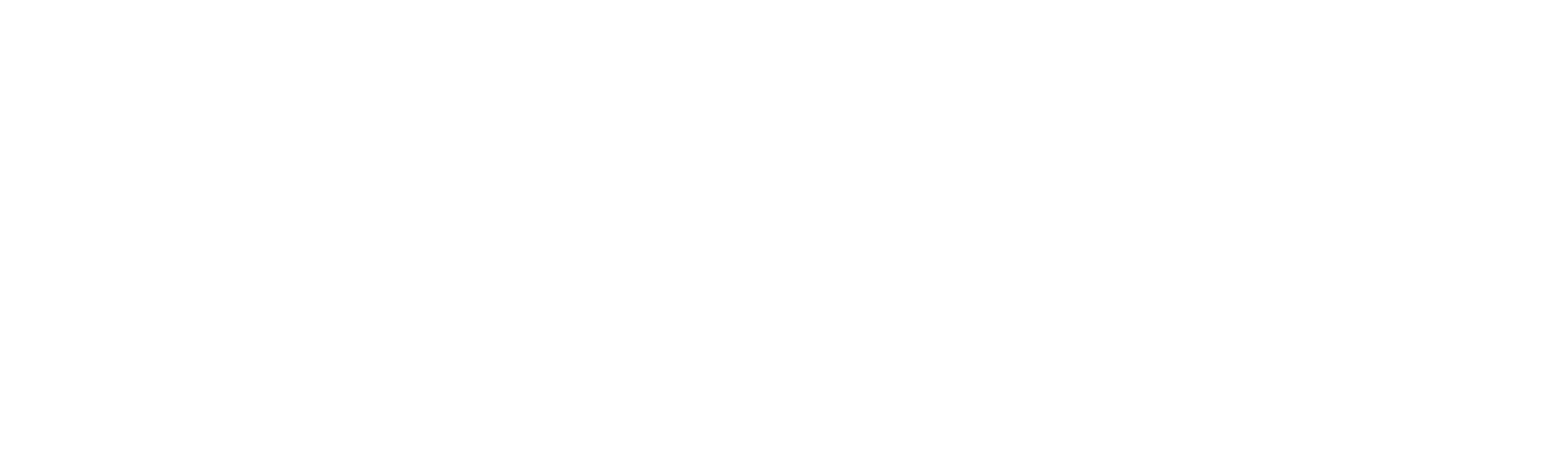 Mountain Interactive