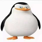Nico10000