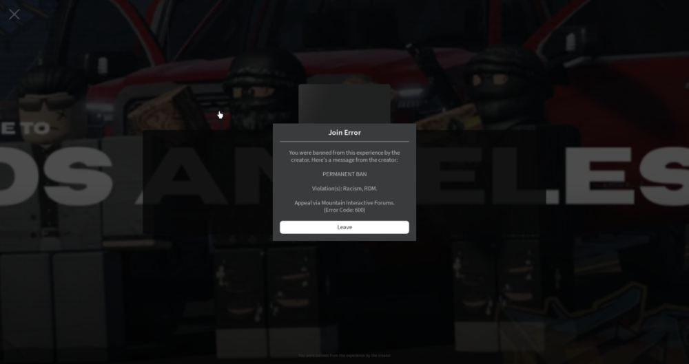 RobloxPlayerBeta_ZMiQxWGgcG.png