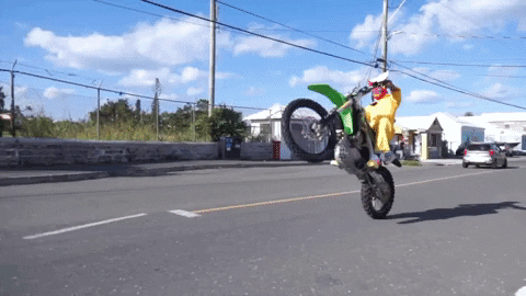 giphy.gif.604cac6dfc6d5e1b3e288a412a1540b7.gif