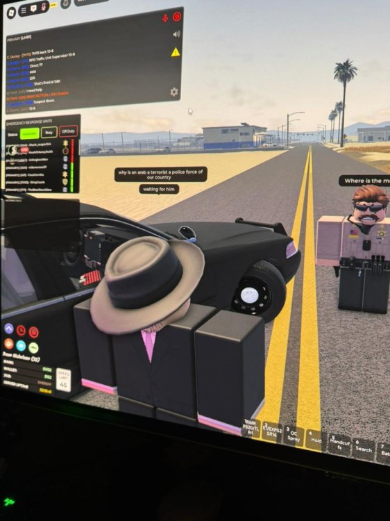 Img1.jpg