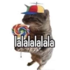 Emiliopolicepants