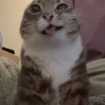 Lcfdwdksw2456