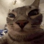 Jimbo24954
