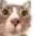 catanana6227