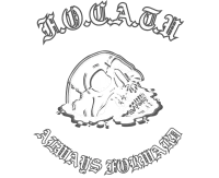 F.O.C.A.T.U. Collective