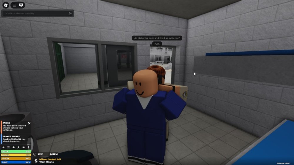 RobloxPlayerBeta_B273pgO7jW.jpg